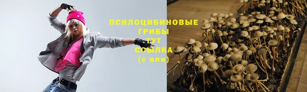 дурь Кодинск
