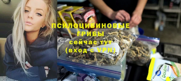 стаф Карпинск