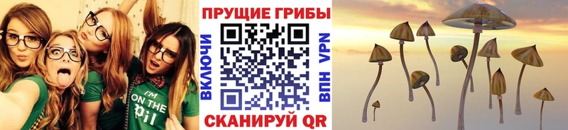 маркетплейс как зайти  наркошоп  Лосино-Петровский  Псилоцибиновые грибы мицелий 