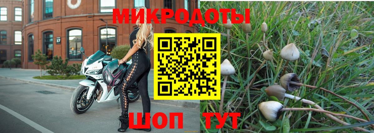Псилоцибиновые грибы Psilocybine cubensis Лосино-Петровский